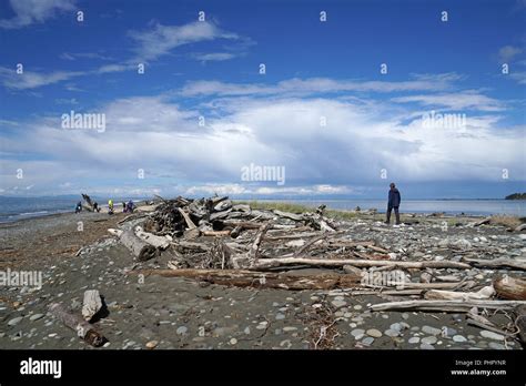 Dungeness Sand Spit Olympic Peninsula Washington Usa Stock Photo Alamy