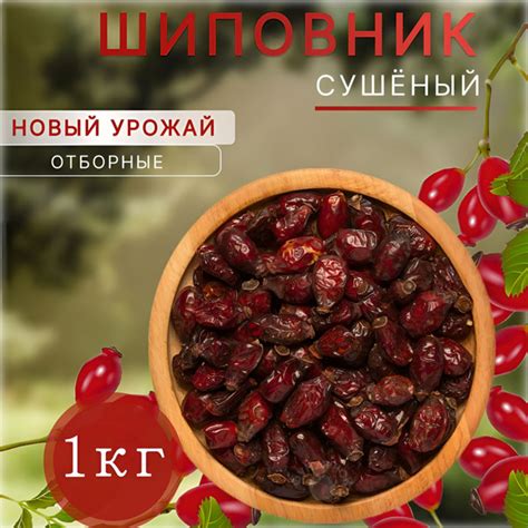 Шиповник сушеный 1 кг - купить с доставкой по выгодным ценам в интернет ...