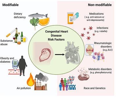 Congenital heart defects – prevalence, symptoms – Healthy Food Near Me