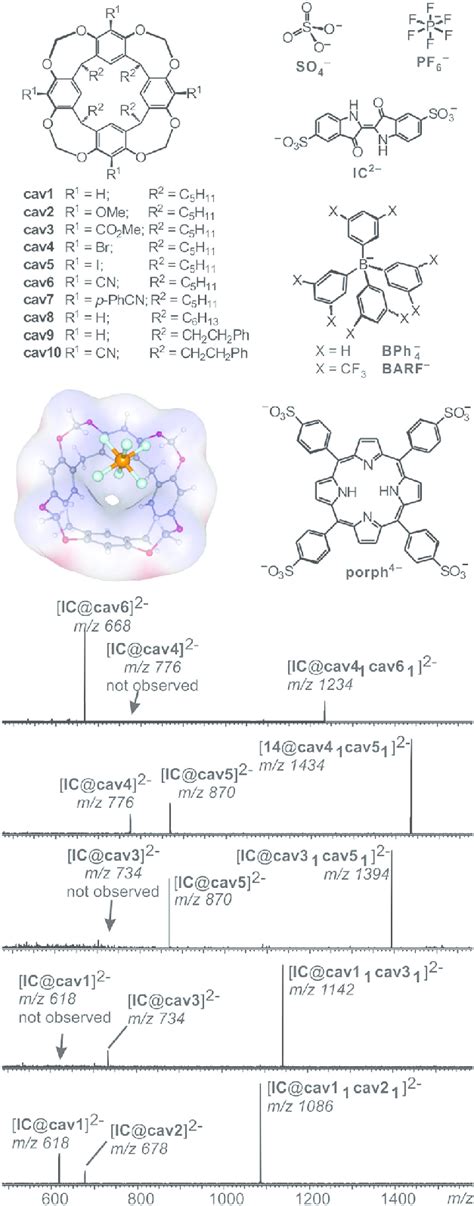 Top Left Anion Binding Cavitands Cav1cav10 And B3lyp Download Scientific Diagram