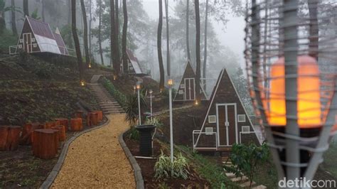 Locca Lodge Trawas Sejuknya Glamping Di Tengah Hutan Pinus Kaki Welirang