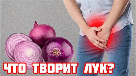 Даже один РЕПЧАТЫЙ ЛУК вызывает НЕОБРАТИМЫЙ процесс в организме - YouTube