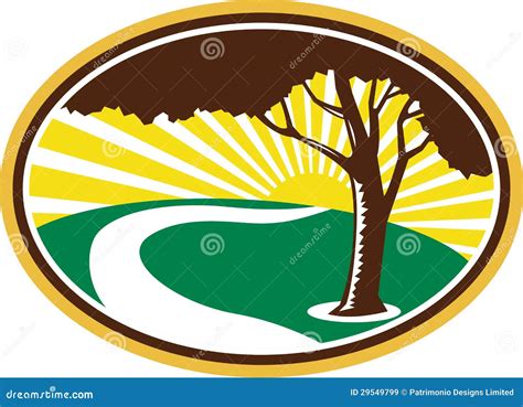 Pecan Tree Nut Vector Frame Green Silhouette Cartoondealer