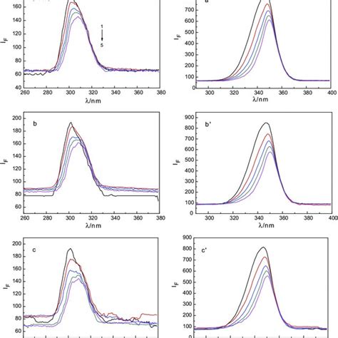 The Synchronous Fluorescence Spectra Of Bsa In The Absence And Presence