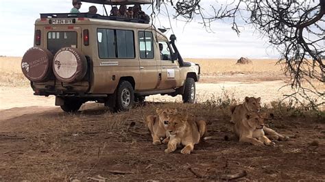 3 Days Safari Serengeti Ngorongoro Crater Midrange Lodge Serengeti