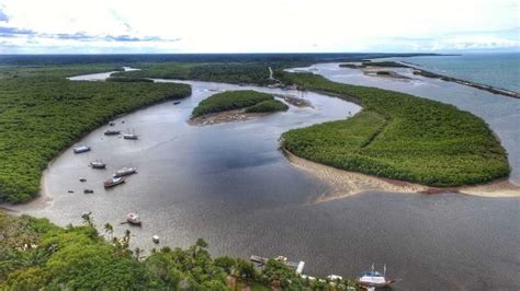 Seca E Assoreamento Amea Am A Sobreviv Ncia Do Rio Jo O De Tiba