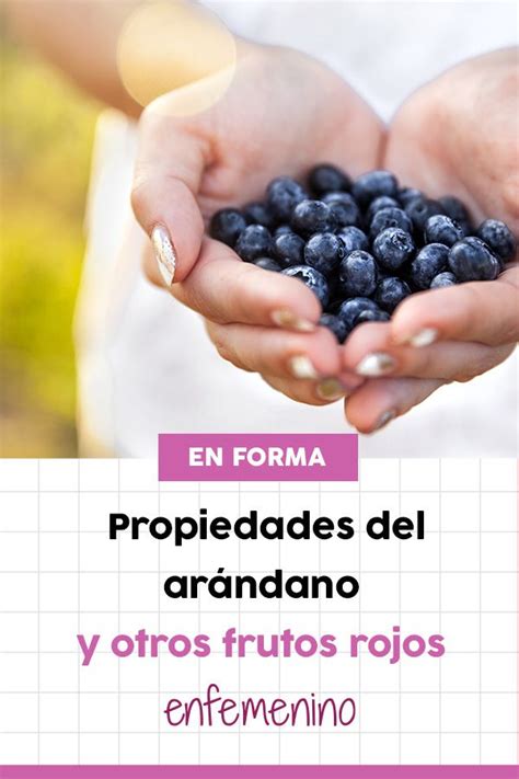 Propiedades del arándano y otros frutos rojos descubre sus beneficios