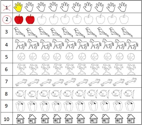 Odd and Even Numbers | Ring the Even Numbers - Book Summarizer