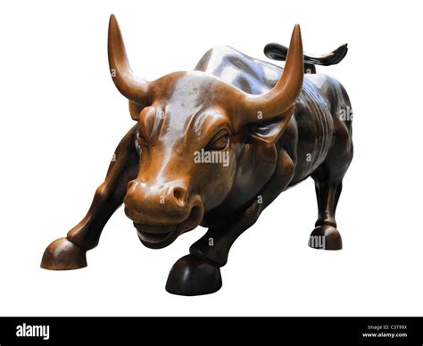 Charging Bull Hi Res Stock Photography And Images Alamy