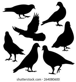 Pigeons Silhouette Vector Stock Vector Royalty Free 147148376