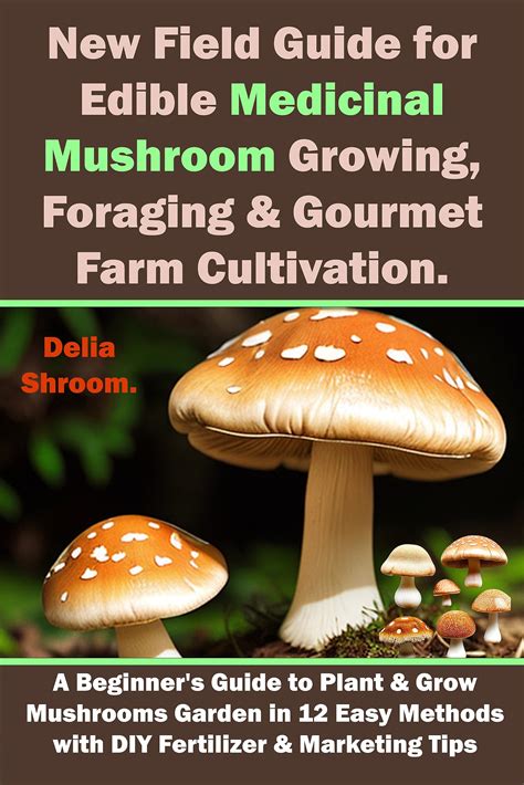 New Field Guide For Edible Medicinal Mushroom Growing Foraging