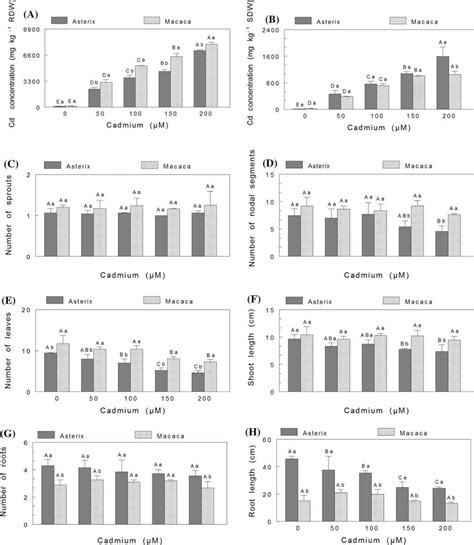 Effect Of Increasing Cd Concentration On The Cd Concentration In Roots