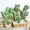 Amazon Woohome 9 PCS Faux Fake Succulents Faux Cactus Artificial