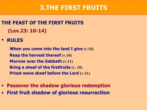 Feast Of First Fruit