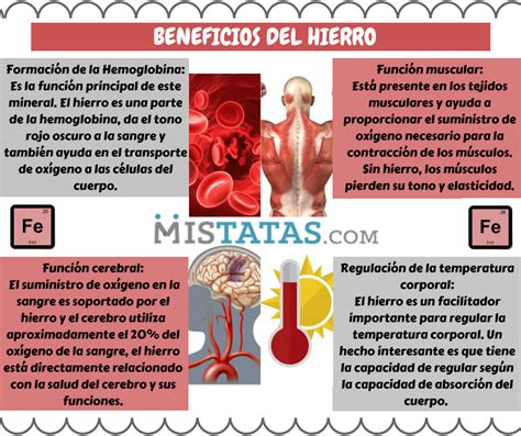 SALUD BENEFICIOS DEL HIERRO