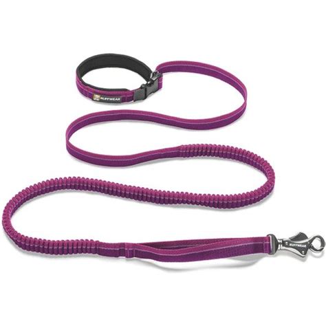 7 Different Types of Dog Leashes | The Family Handyman