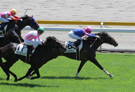 【新潟4r・3歳未勝利戦】藤田菜七子がリュウグウヒメでv 自己最多タイの4週連続勝利 スポーツ報知