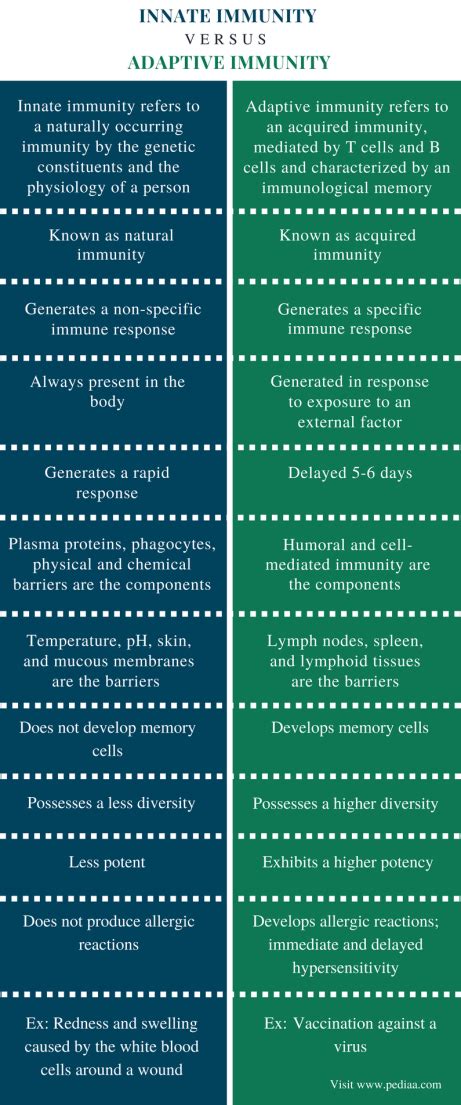 Difference Between Innate and Adaptive Immunity | Definition ...