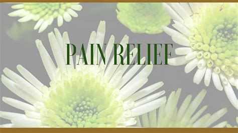 Herbs for Pain Relief - Uses and Benefits