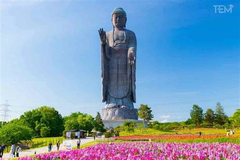 Largest Statues In The World You Will Like To Read About