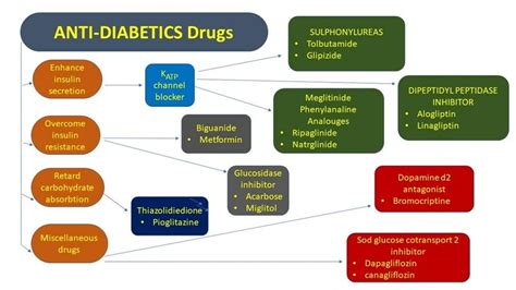 Classification Of Anti Diabetic Drugs Download Scientific Diagram