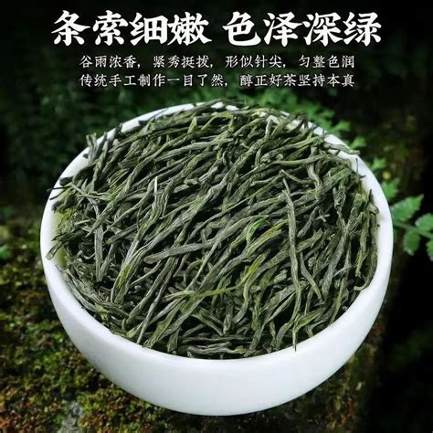 精選美食 特級毛尖2023新茶葉明前信陽綠茶手工嫩芽春茶高山濃香型綠茶罐裝 南北美食 放心食用 蝦皮購物