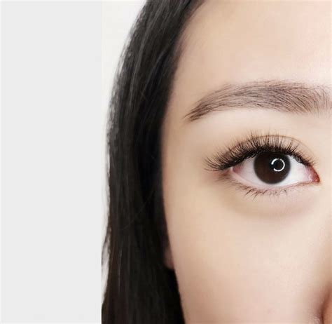 lash lift singapore dr lash dr lash sg