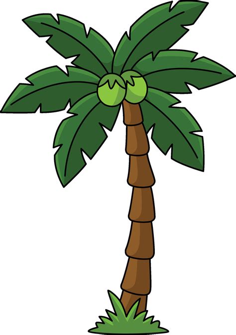 Coconut Tree Cartoon Colored Clipart Illustration Vector Art