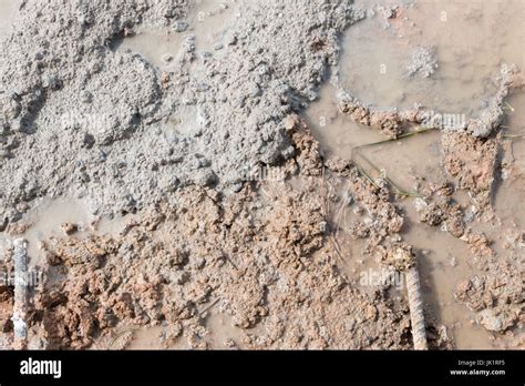 Textura de hormigón listo para usar el mortero de cemento Piso de