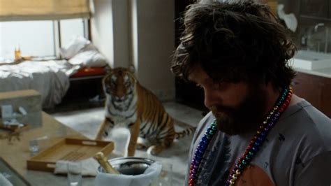 Things You Only Notice The Second Time You Watch The Hangover