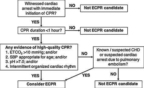 Pediatric Cardiopulmonary Resuscitation Quality During Intra Hospital