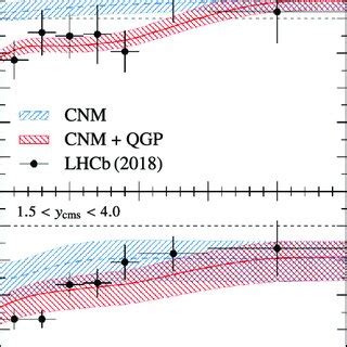 Calculated Rapidity Dependent Nuclear Modification Factors R PPb For