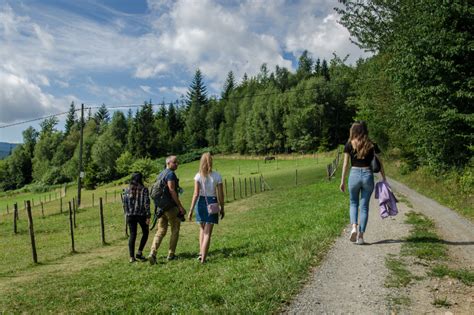 Dzi Kujemy Za Sezon Zimowy Skolnity