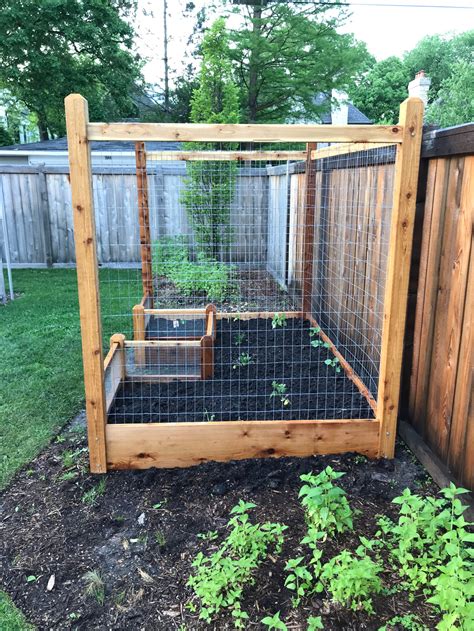 6x9x6 Trellis Garden With Rabbit Railings