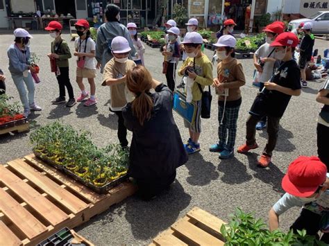 2年生 5月 野菜の苗を買いに 結小学校ブログ