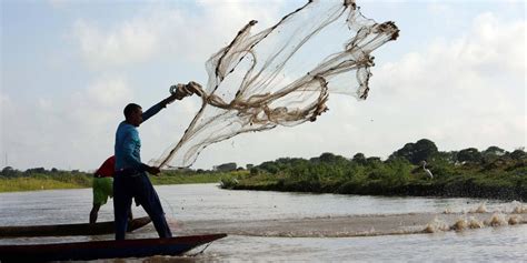 Lanzan Plan Para Asegurar Que Siga Existiendo La Pesca Artesanal