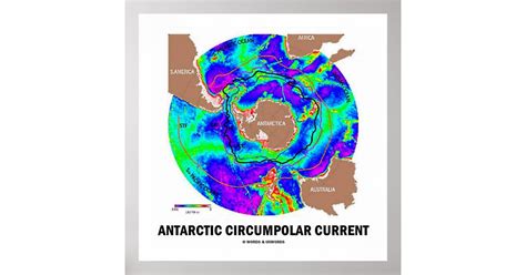 Antarctic Circumpolar Current (Ocean Current Map) Poster | Zazzle