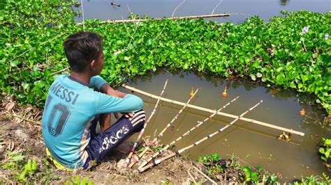 Traditional Boy Hunting Big Fish By Hook In Pound | Best Hook Fishing Video