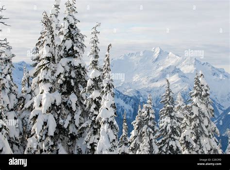 Mountain scenic in British Columbia's Coast mountain range in Whistler ...