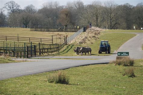 Longleat Safari Park All Traffic Alljengi Flickr