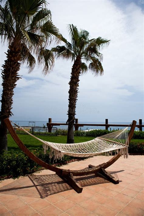 Hammock Under Palm Trees On The Sunny Seashore Rest And Relaxation