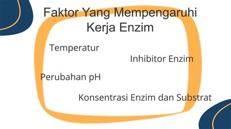 Konsep Aktivasi Enzim Dan Cara Kerja Enzim Ppt