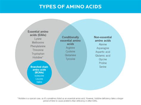 The Benefits Of Bcaas Are They Right For You Precision Nutrition