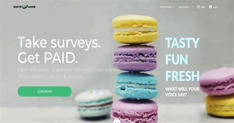 Survey Junkie Review The Truth About Making Money Online