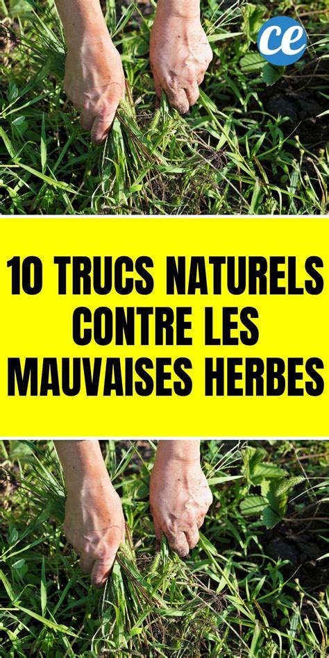 Comment D Sherber Naturellement Son Jardin Pour Enlever Les Mauvaises