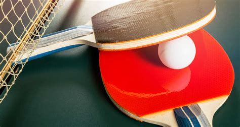 Yasaka Mark V Table Tennis Rubber Review Very Affordable