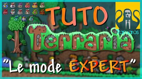 Tuto Terraria Tout Savoir Sur Le Mode Expert Ramaros Fr Hd Youtube