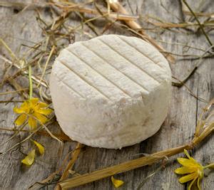 Chèvre le petit perche nature Sun Fruit Produit frais et locaux