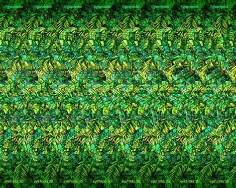 Pin By Katie Braga On Magic Eye Magic Eye Pictures Magic Eyes Eye