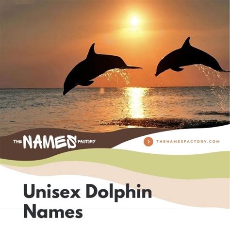 225+ Dolphin Names Ideas for Your Clever Aquatic Friend